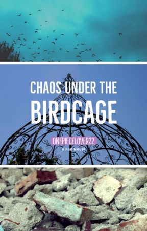 Chaos Under the Birdcage by OnePieceLover22