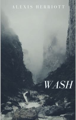 WASH cover