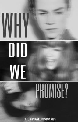 🍃Why Did We Promise?🍃 cover