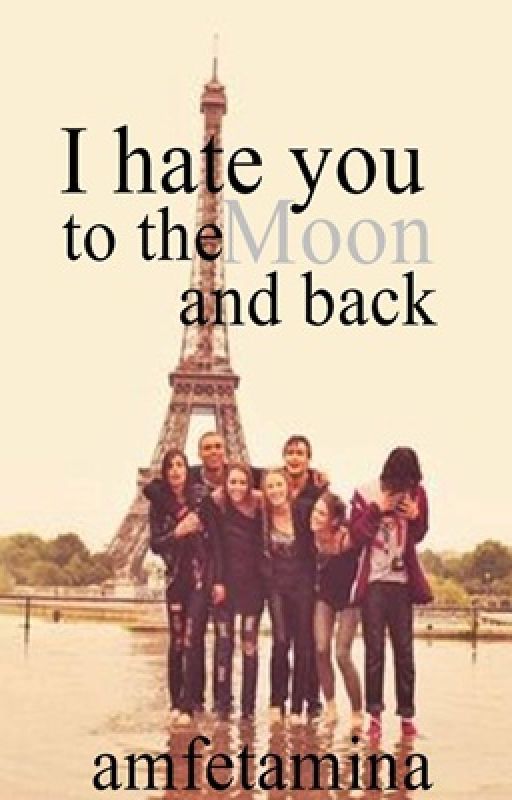 I hate you to the moon and back by Amfetamina