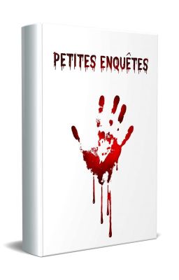 Petites Enquêtes cover