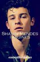 Shawn Mendes Imagines by seeingalltherainbows