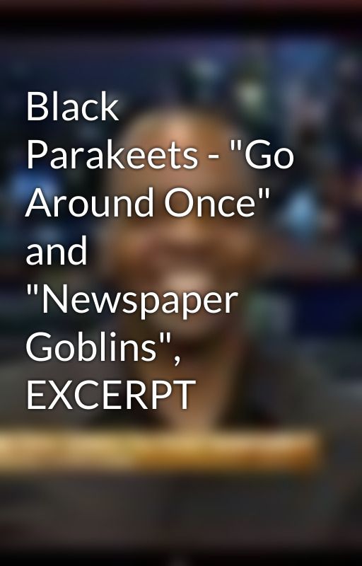 Black Parakeets - "Go Around Once" and "Newspaper Goblins", EXCERPT by ChadHunter