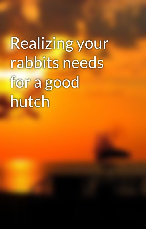 Realizing your rabbits needs for a good hutch by herblynn78