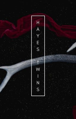 The Hayes Twins cover