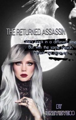 The Returned Assassin cover