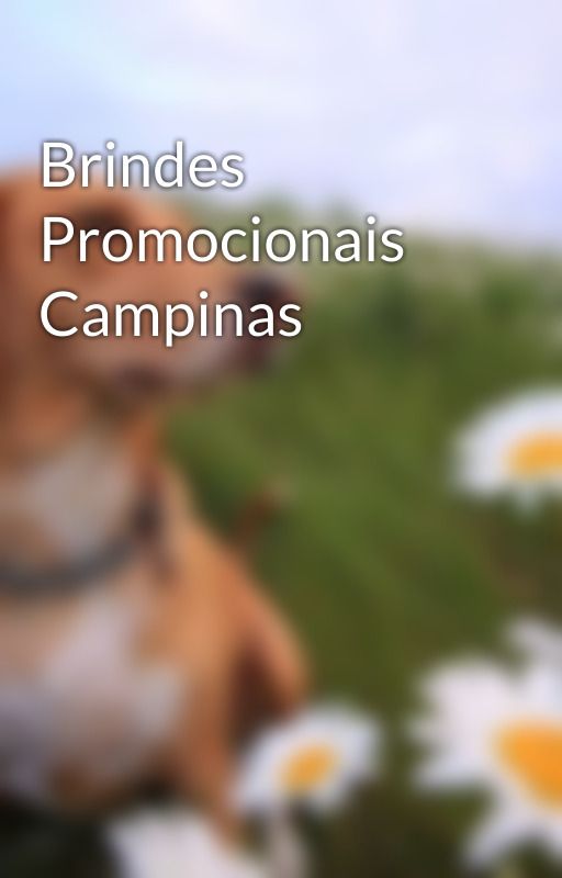 Brindes Promocionais Campinas by f5brindes