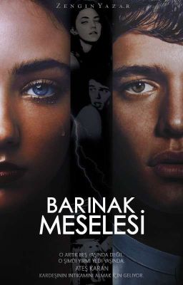 BARINAK MESELESİ cover