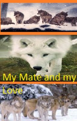 My Mate and My Love cover