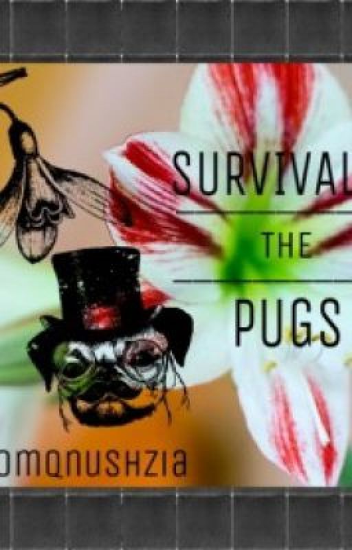 Survival of the Pugs {fanfic for Puga & Edgar} by troyespizza