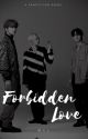 Forbidden Love {A SEVENTEEN Fanfic}  by mcl_mjjk