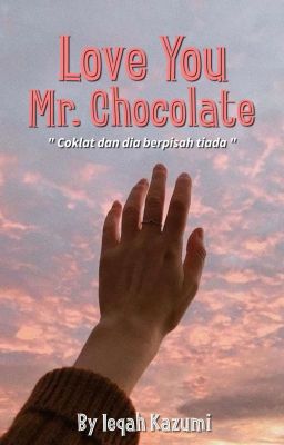 Love You Mr. Chocolate  cover