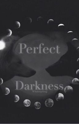 Perfect Darkness (A Calum Hood Werewolf Story) cover