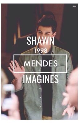 Shawn Mendes Imagines cover