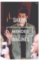 Shawn Mendes Imagines by madison_mcdavid