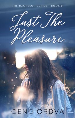 Just The Pleasure ( TBS 1 - Book 2 ) cover