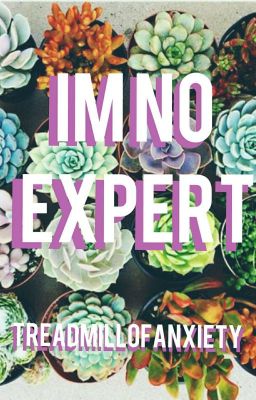 I'm No Expert | Bleville cover