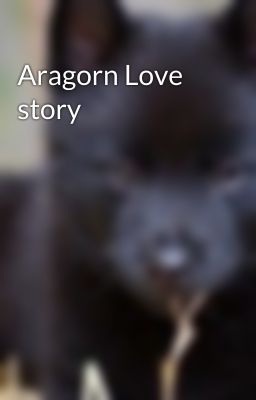 Aragorn Love story cover