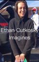 Ethan Cutkosky imagines by txkenxwxy