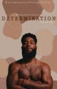 DETERMINATION | Book One by urbancreations