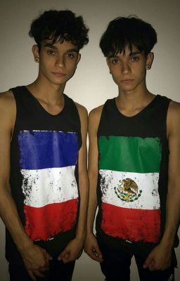 Fell for the bullys (Dobre twins fanfiction)✔ cover