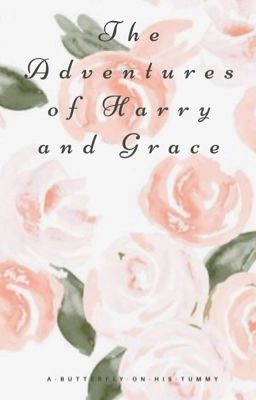 The Adventures of Harry and Grace (H.S.) cover