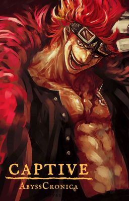 Captive [Eustass Kid x Reader] cover