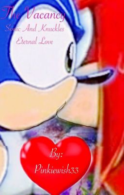 The Vacancy of Sonic and Knuckles eternal Love cover