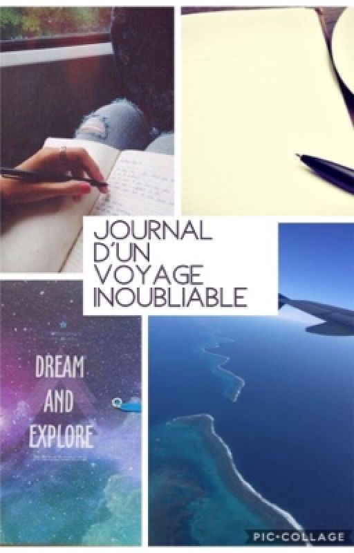 Journal d'un voyage inoubliable by liloetstiches