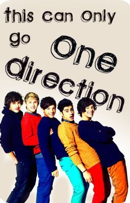 ♥This Can Only Go One Direction♥ cover