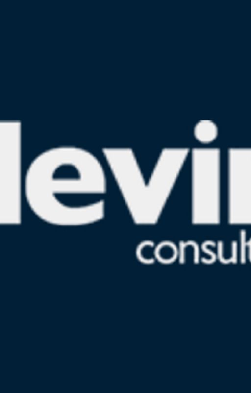 Devin Consulting by maxzercho