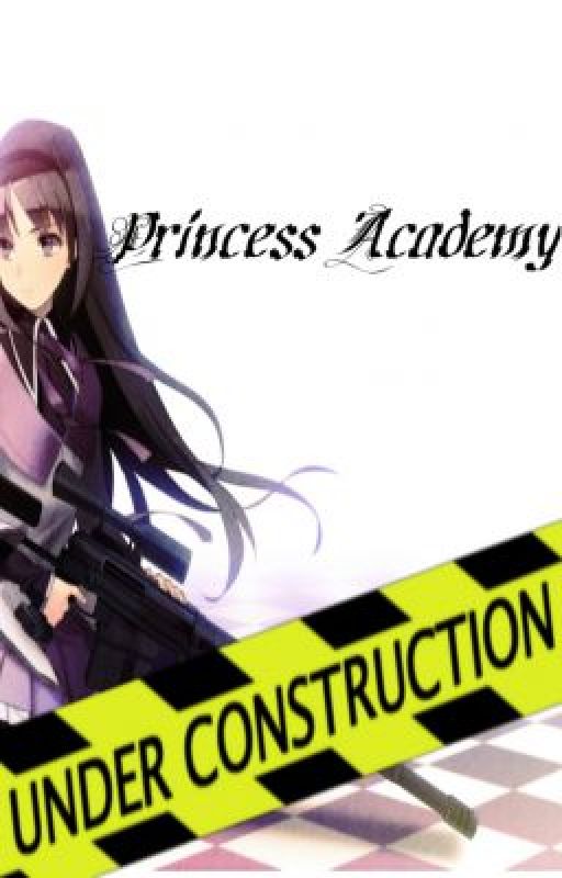 Princess Academy is Now Under Construction by ForeverChanging