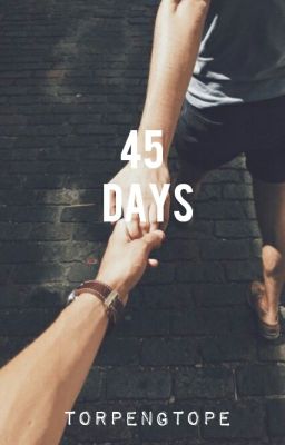 45 Days (A Septiplier Chat Story) cover