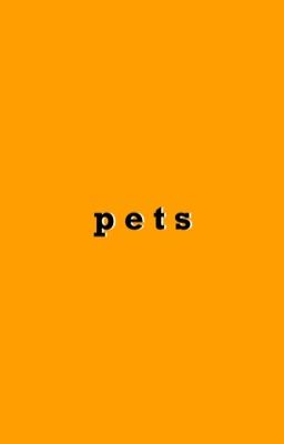 Pets | Junhao cover