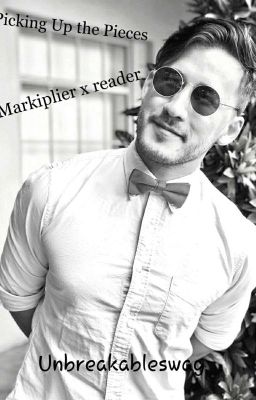 Picking Up the Pieces  (Markiplier x reader) cover