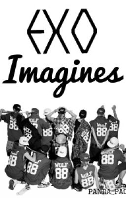 EXO IMAGINES~ cover