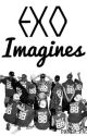 EXO IMAGINES~ by panda_pao