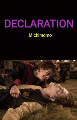 Declaration  cover