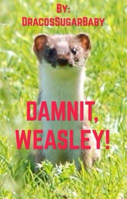 Damnit, Weasley! cover