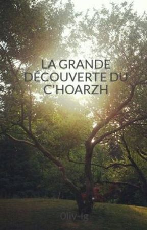 LA GRANDE DÉCOUVERTE DU C'HOARZH by 0liv-lg