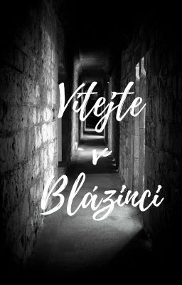 Vítejte v Blázinci cover