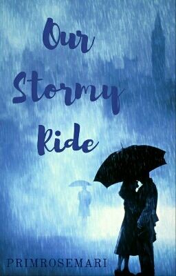 Our Stormy Ride  cover