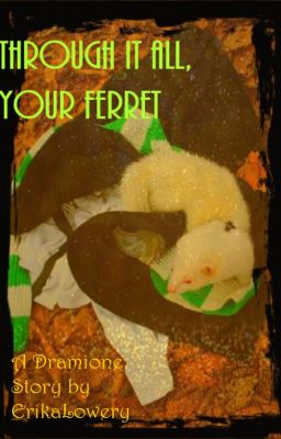 Through It All, Your Ferret ~ A Dramione Fanfiction (Complete) cover