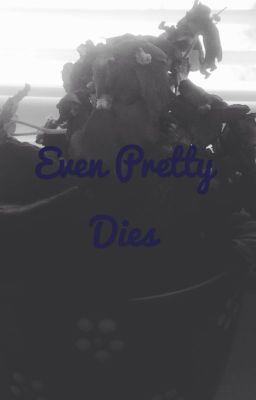 Even Pretty Dies cover