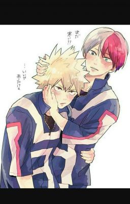 Their Story | Todobaku  cover