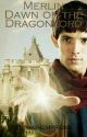 Merlin: Dawn of the Dragonlord by highempress