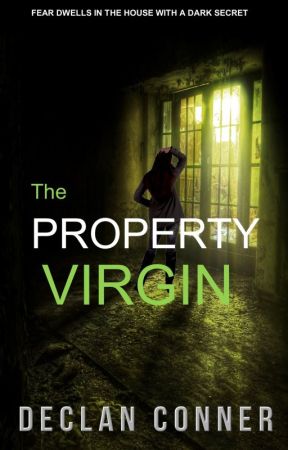 The Property Virgin: And The House with a Dark Secret. by DeclanConner