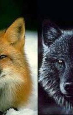 Der Fuchs und der Wolf cover