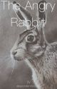 The Angry Rabbit | Ryden Brallon | Completed  by despondentlywoeful