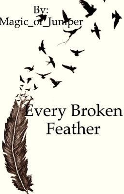 Every Broken Feather cover